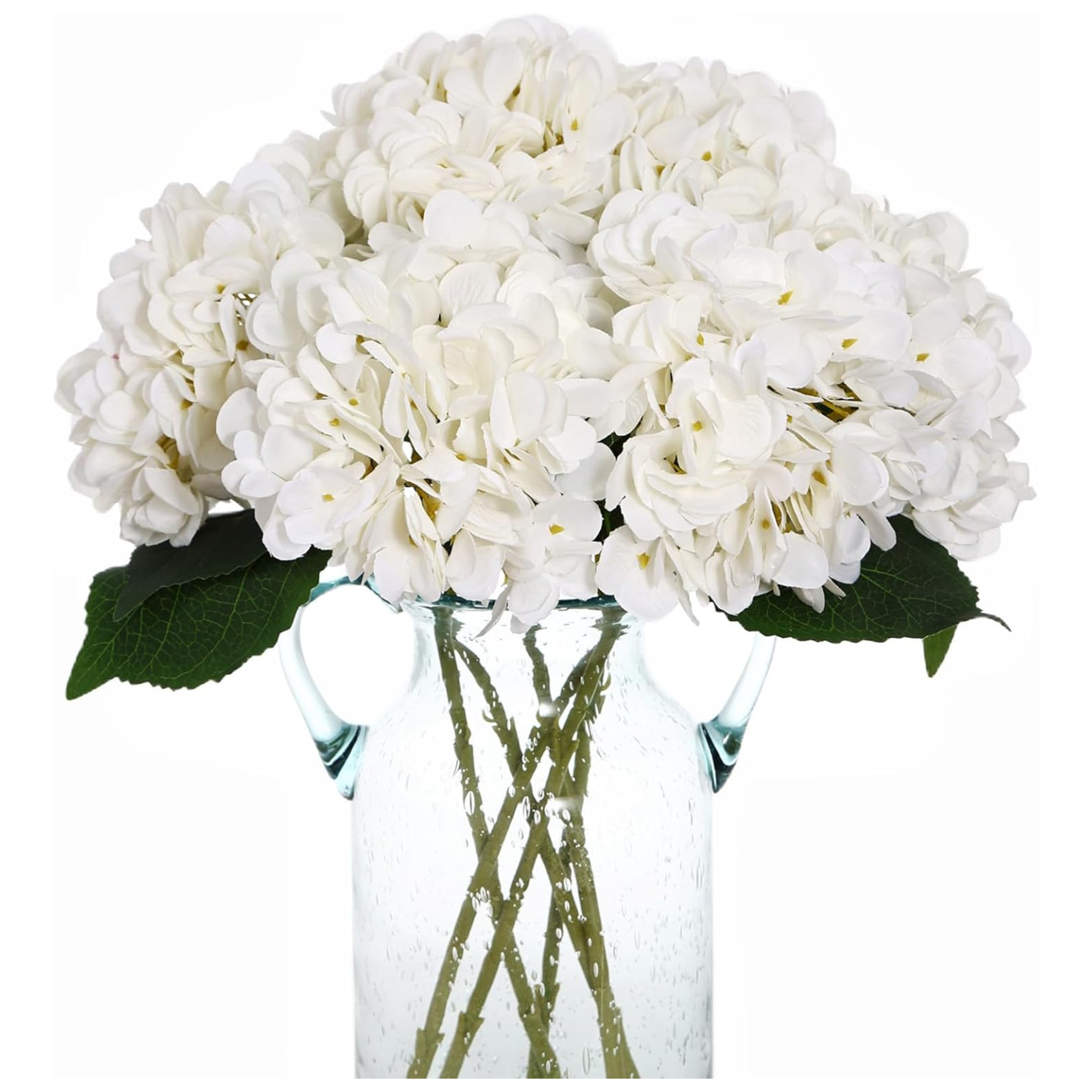 Martha Stewart Inspired Living | Sweet Savings & Things