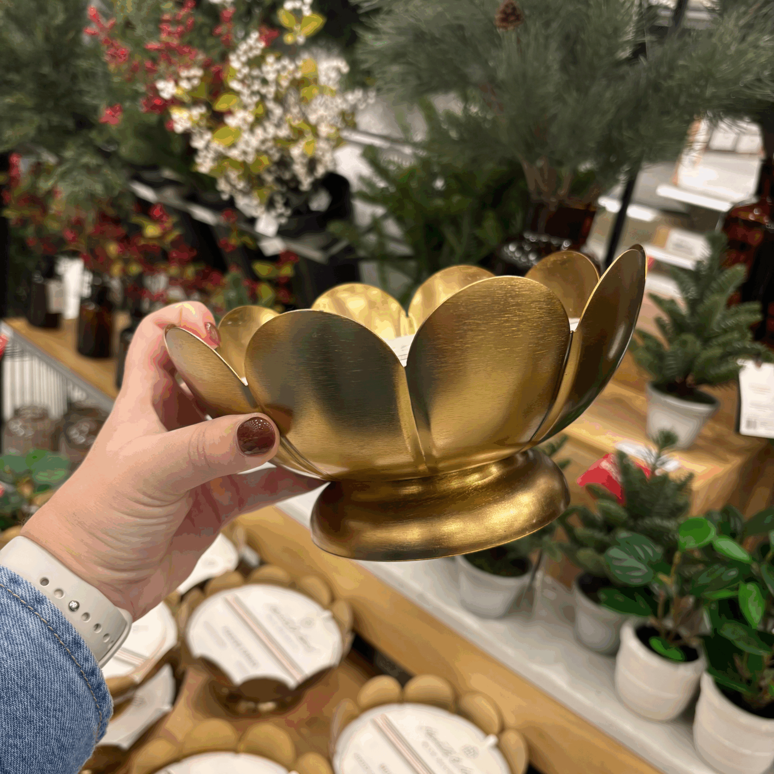 New November Arrivals | Sweet Savings & Things